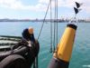 У Чорному морі відновили роботу трьох українських портів