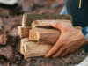 Готуємося до зими: як купити дрова у лісгоспах Львівщини