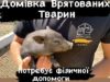 Львів’ян запрошують на толоку у Домівку врятованих тварин