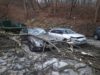 Троє львів’ян відсудили 750 тис. грн за падіння дерева на автомобілі