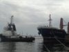 З українських портів вийшли ще 4 судна з зерном