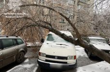 Негода у Львові повалила 119 дерев. Зафіксовано 32 обриви електромережі