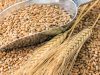 РФ вкрала української пшениці на мільярд доларів