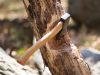 На Луганщині місцеві мешканці масово вирубають дерева для обігріву, – Гайдай