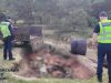 Сина старости села на Львівщині спіймали на скиді тваринних решток у лісі