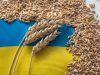 Росія готова продовжити «зернову угоду», але тільки на 60 днів