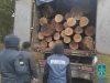 9 людей судять за незаконні рубки у лісництві на Львівщині