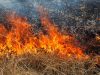 Львів’ян попереджають про високу пожежну небезпеку