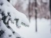 На Львівщині прогнозують перший сніг