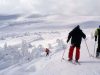 На горі Тростян врятували 10-річного лижника