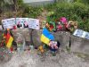 Вбиті в Німеччині українці були військовими, вони проходили лікування