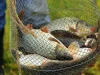 На Львівщині ввели заборону на рибалку