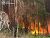 На Харківщині триває гасіння дев'яти лісових пожеж