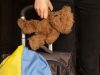 Ще дві українські сім’ї з дітьми вдалося врятувати з окупації