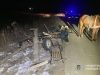 На Львівщині авто зіткнулося з гужовою підводою, постраждала жінка
