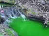 У річці Зубрі перевірили якість води після того, як вона позеленіла