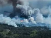 В Україні через російські обстріли палають 2400 га лісу