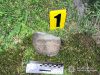 Мешканець Львівщини каменем до смерті забив сусіда