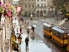 На Львівщині 15 червня очікуються грози та шквальний вітер