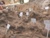 На Волині завершили ексгумацію у Волі Островецькій: виявили останки 48 людей